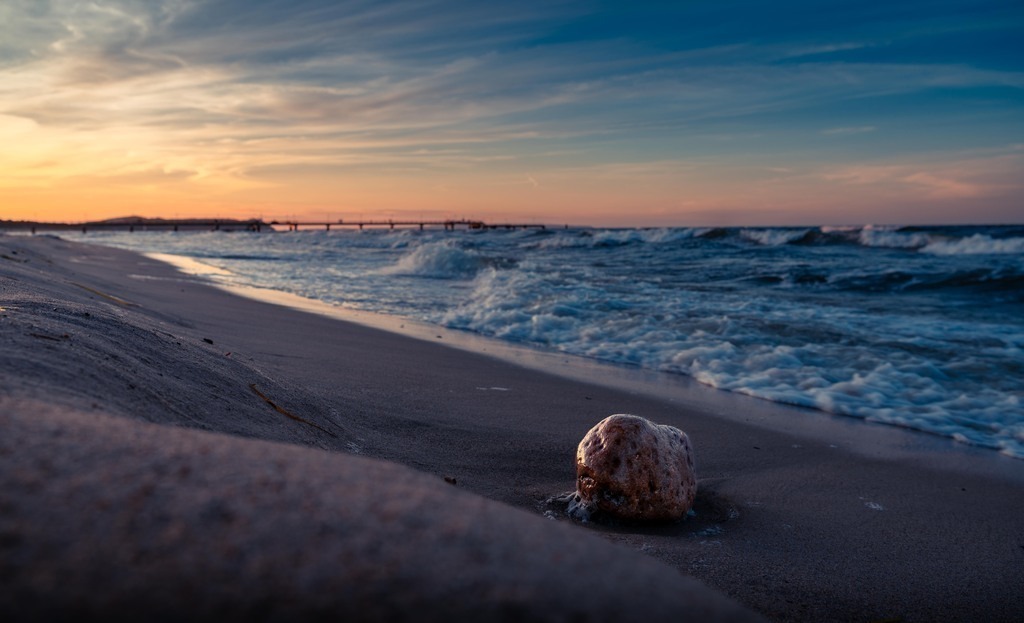 20240813-_DSC3097 | Fotografie, Dresden, Marcus Wagner, Landschaftsfotografie, Tierfotografie, Architekturfotografie - Realisiert mit Pictrs.com