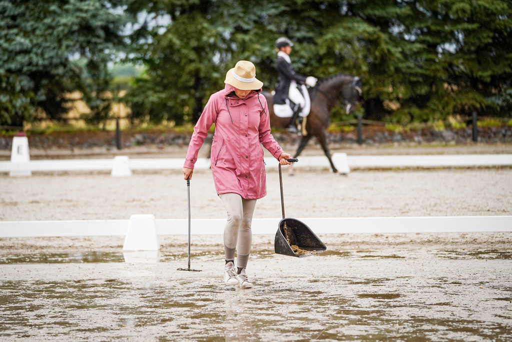 DSC08729 | Pferdegrafie