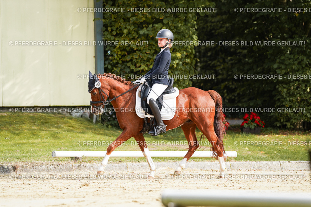 DSC04023 | Pferdegrafie