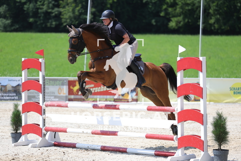 0P6A9520 | Willkommen bei Brunnmayr - Design & Fotografie – Ihrem Spezialisten für Reitturniere und Pferdeveranstaltungen in Oberösterreich, Salzburg und Bayern! Seit über 17 Jahren sind wir leidenschaftlich dabei.