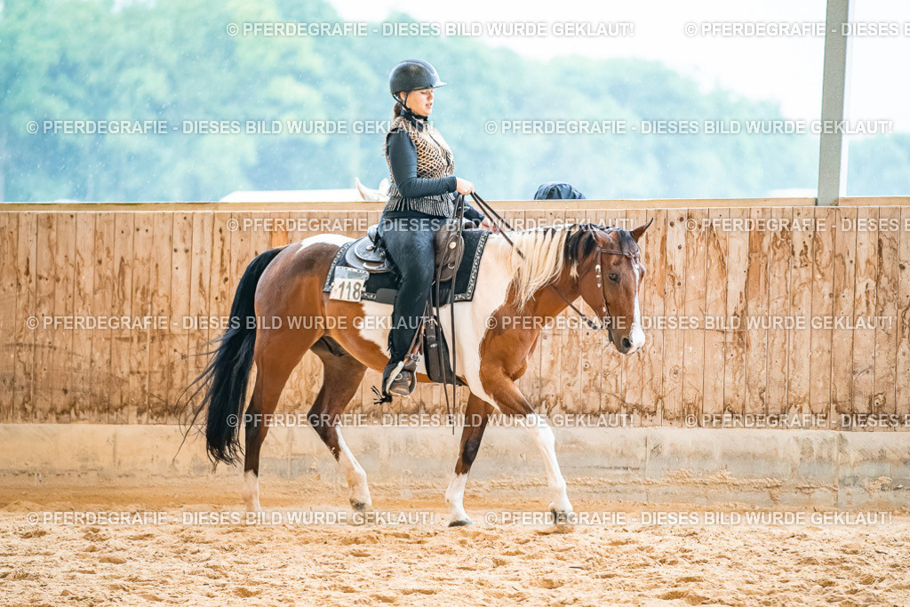 DSC00612 | Pferdegrafie