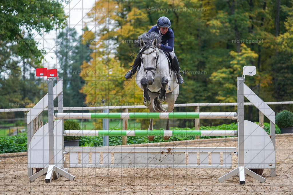 20221009-FAH08959 | Diessen am Ammersee, 2022, Dressur- und Springturnier, Reitsportbilder, Turnierfotografen Bayern, Pferdefotografen, Fotoagentur Herrmann, Turnierbilder