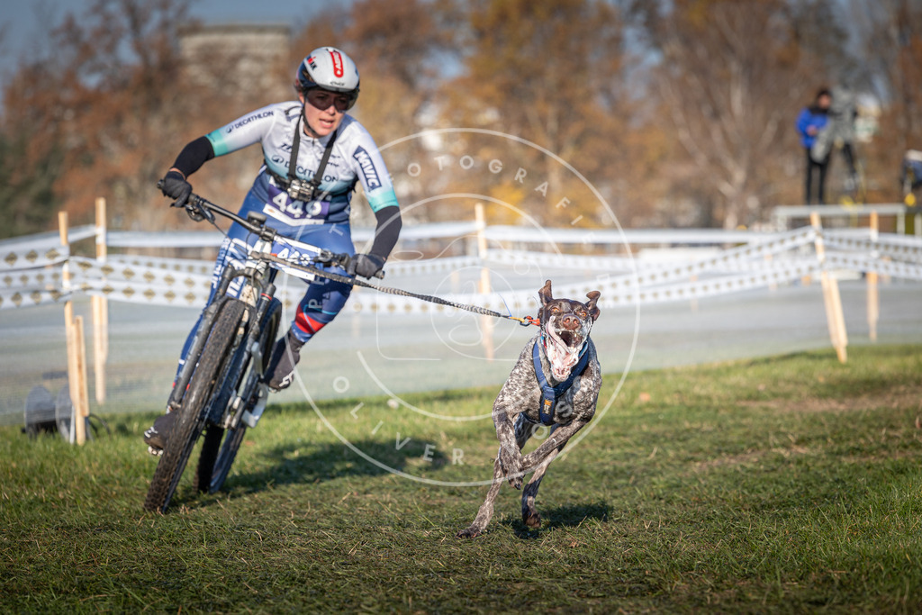 CaniXpix_0L8A4390 | Hundefotografie, Tierfotograf, Pfotenfotografie, Fotoshooting Hund, Hunde Portrait, Hundesport, Hundeportraits, Heideshooting, Hunde, Sportfotograf, Hundefotograf, Turnierhundsport, THS,  - Realisiert mit Pictrs.com