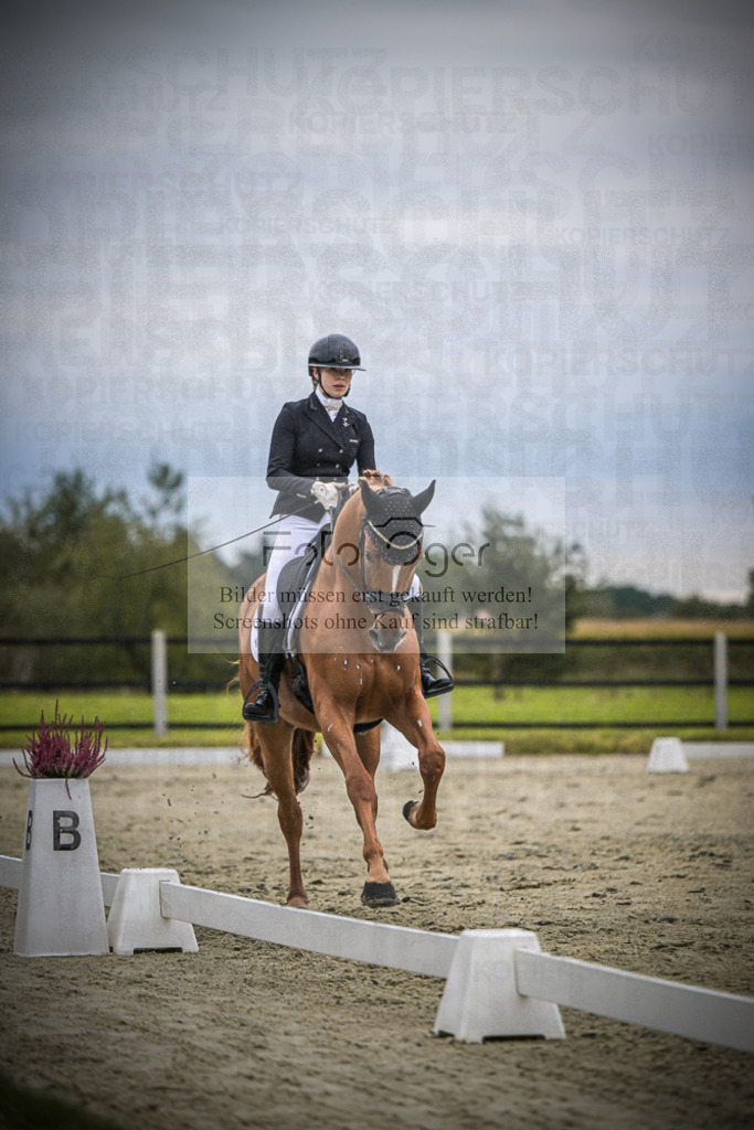 DOS_1522 | Entdecke hochwertige Reitturnierfotos von Foto Oger. Professionell, emotional und authentisch – jetzt Lieblingsmomente im Shop bestellen.Deutschlandweite Turnierfotografie. - Realisiert mit Pictrs.com