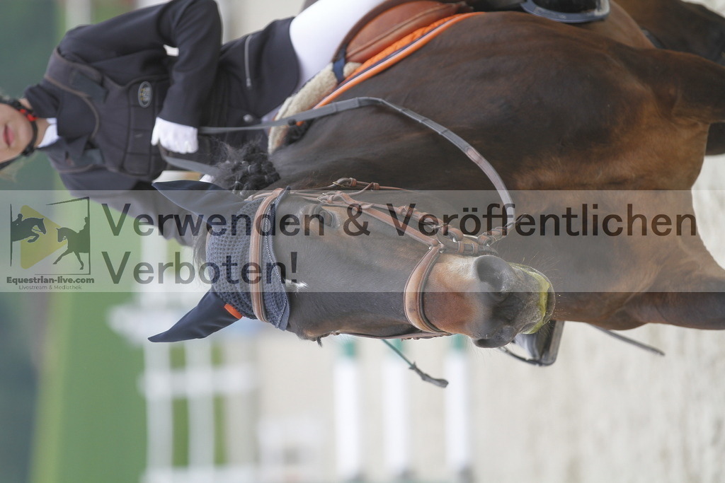 _MG_3623 | equestrian-live-com