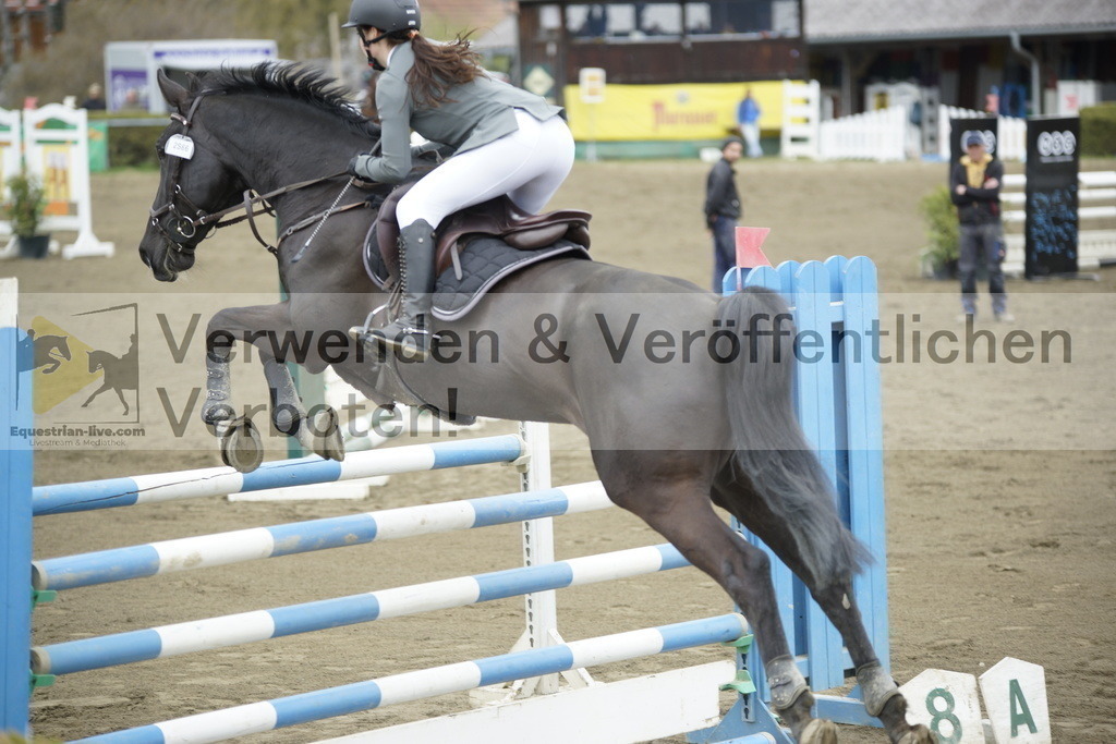 _DSC7141 | equestrian-live-com