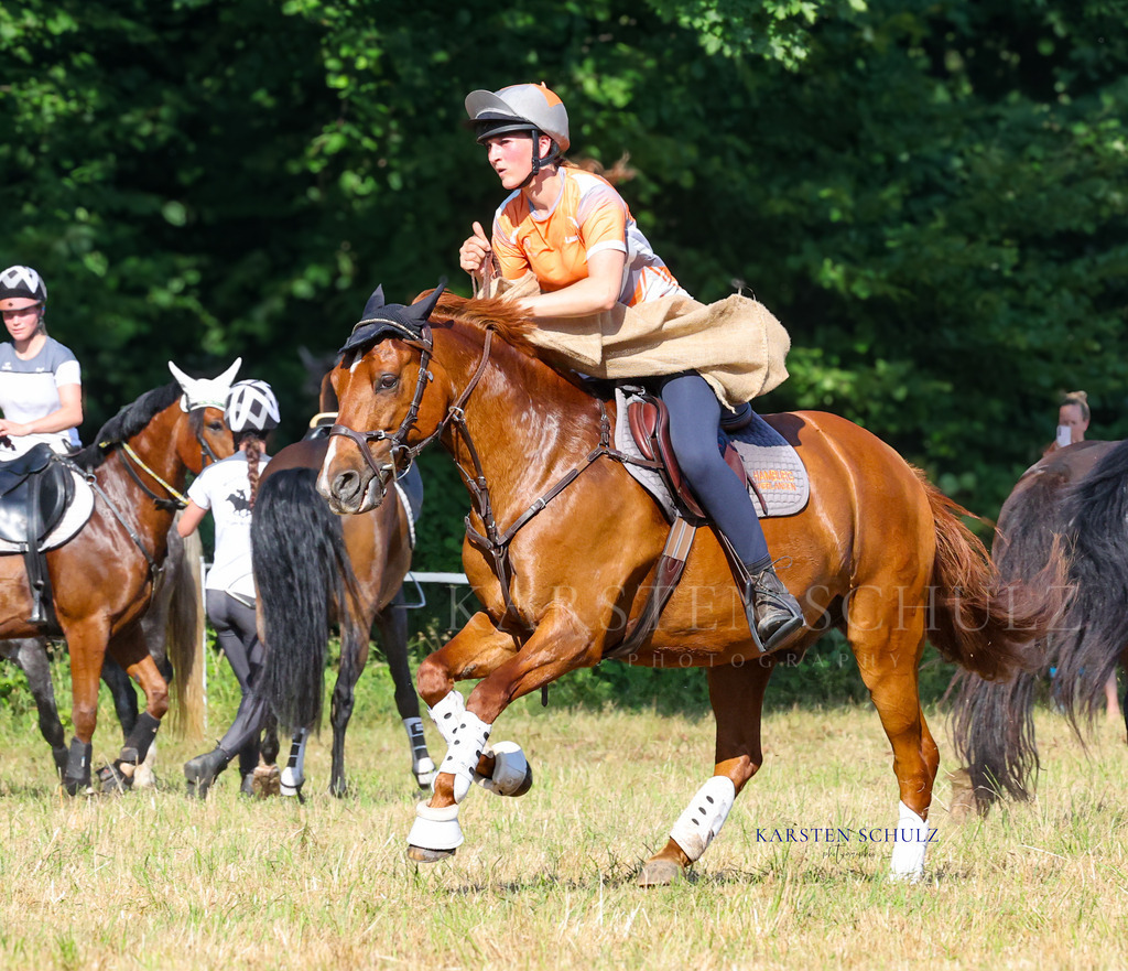 1B3A8323 | Reitsport Reiten