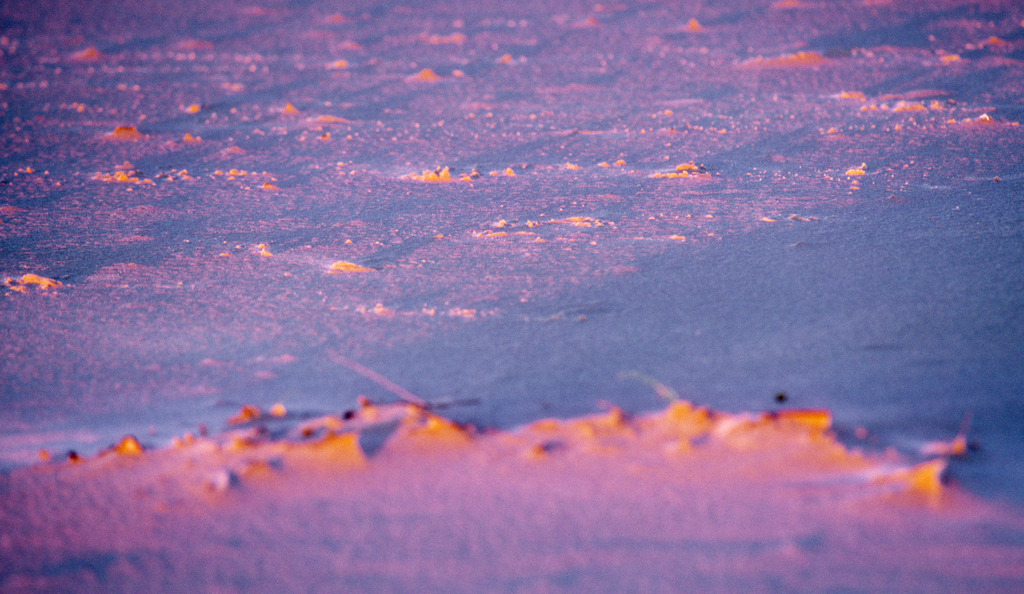 Streiflicht am Sandstrand | Wittduen, Deutschland - October 21, 2010: Streiflicht am Sandstrand. - Realisiert mit Pictrs.com