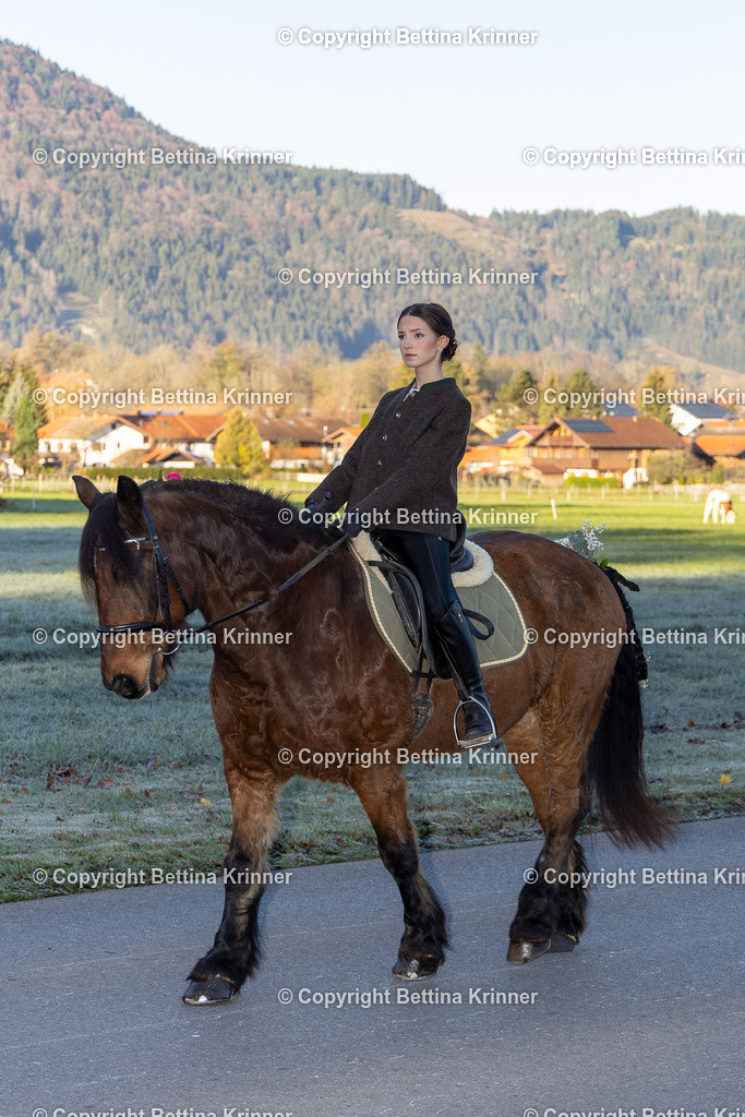 LL24-94 | foto-bettina-krinner - Realisiert mit Pictrs.com