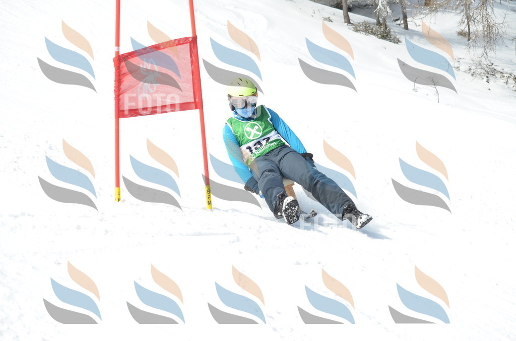 D9292 | holidayphoto