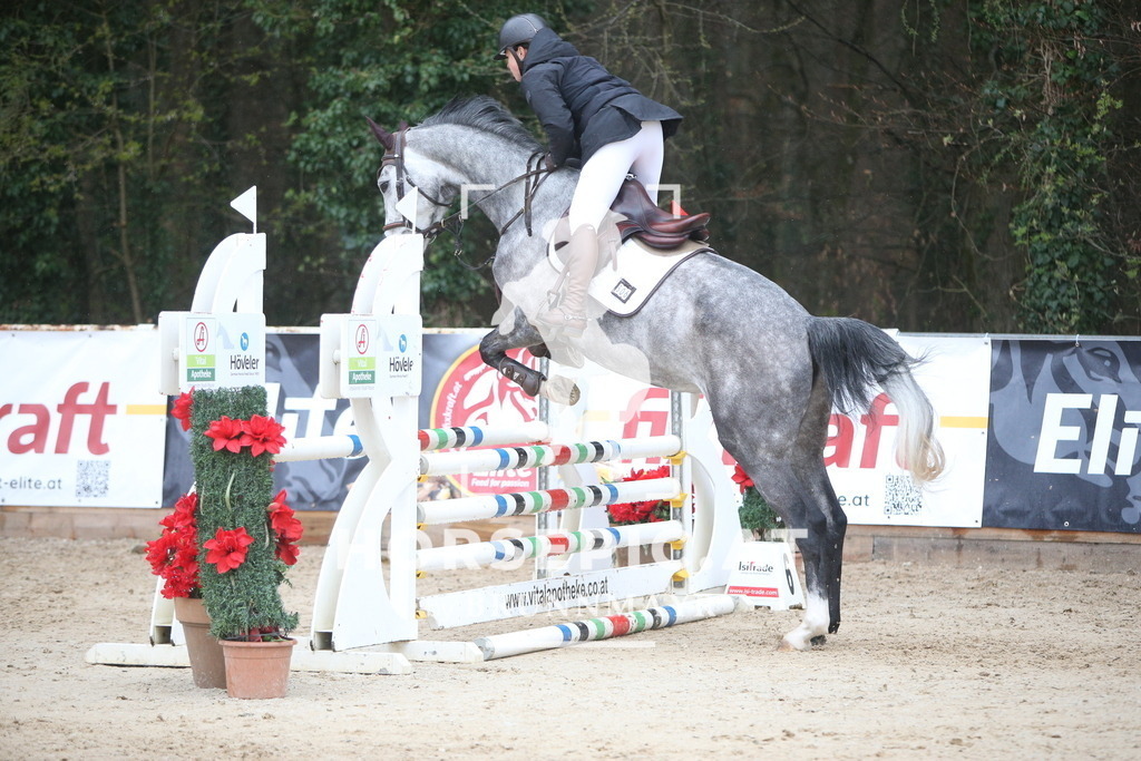 AS8V1302 | Willkommen bei Brunnmayr - Design & Fotografie – Ihrem Spezialisten für Reitturniere und Pferdeveranstaltungen in Oberösterreich, Salzburg und Bayern! Seit über 17 Jahren sind wir leidenschaftlich dabei.