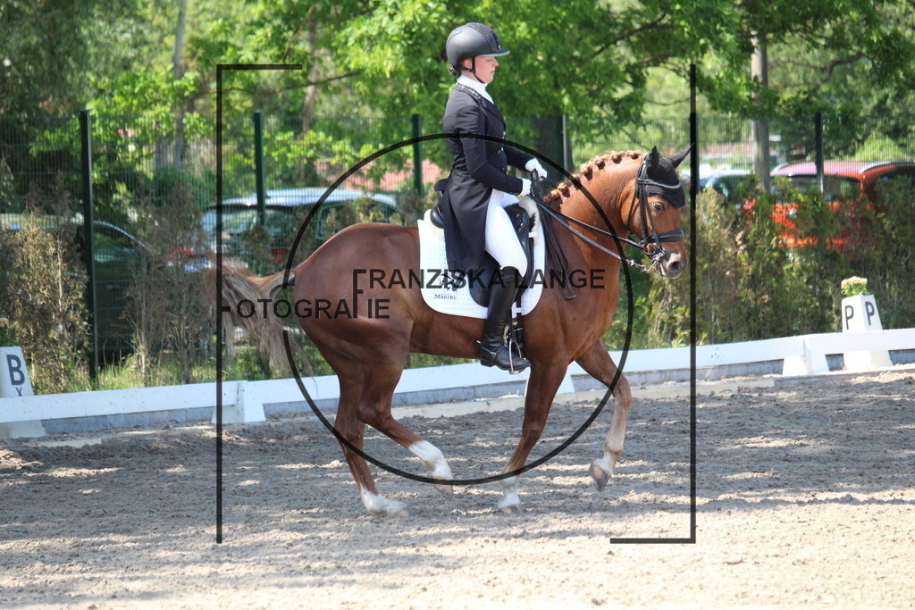 IMG_4771 | franziskalange - Realisiert mit Pictrs.com