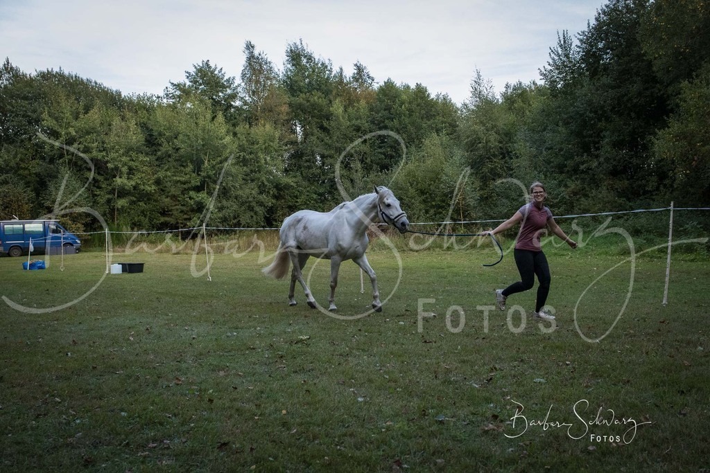 DdLH-NU_2025-09-20_64 | Fotografie, Veranstaltungs-Fotografie, Pferde-Fotografie, Landschafts-Fotografie, Reise-Fotografie - Realisiert mit Pictrs.com