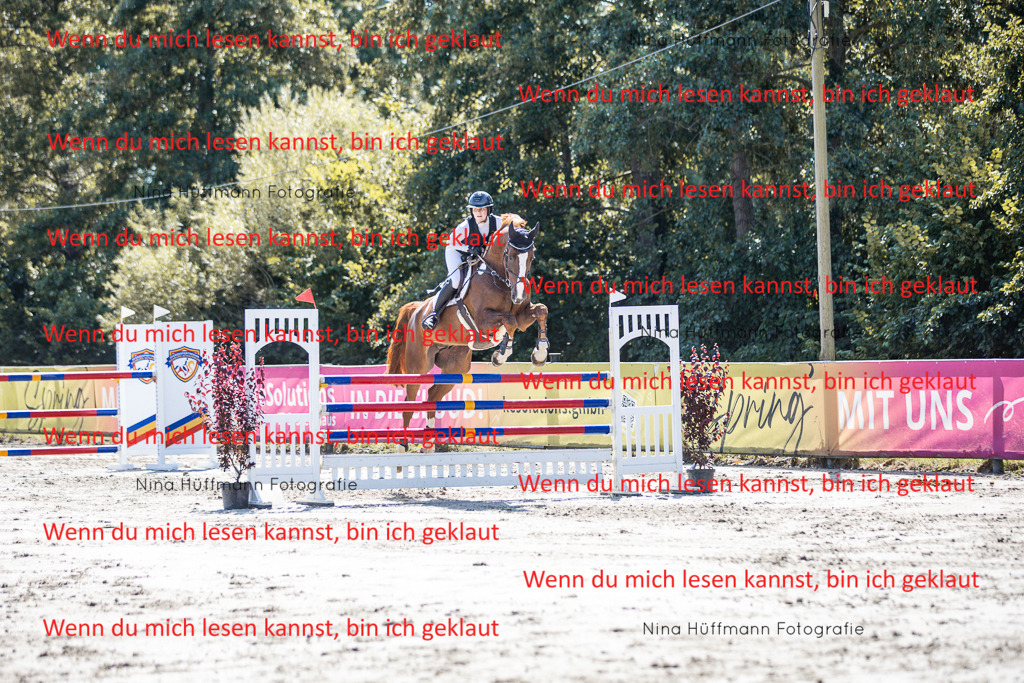 BK1A6371 | Turnierbilder Turnierfotos Nina Hüffmann Turnierfotografie Pferdefotografie Tierzeichnung Haustierzeichnung Pferdezeichnung Hundezeichnung Videograf  - Realisiert mit Pictrs.com