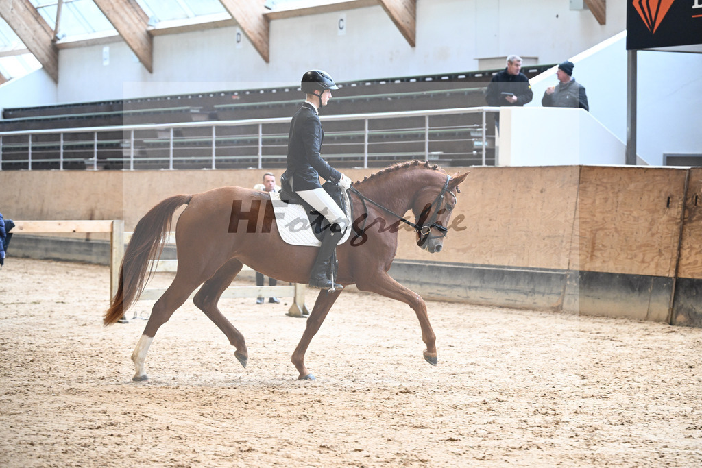 Kat-Nr. 10 Weissenas Valentina v. Va Bene_Eder_50250362 | hf-fotografie - Realizzato con Pictrs.com