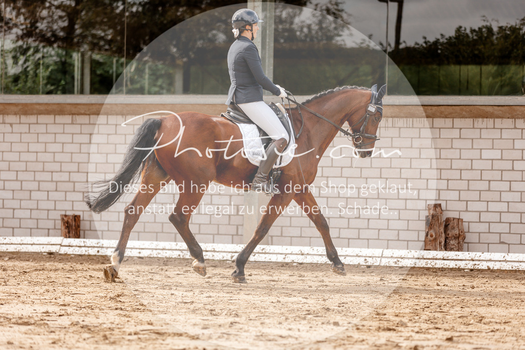3I6A6991 | Stimmungsvolle Portraits und Reitsportfotografie im Ruhrgebiet und im Münsterland.

Pferdefotografie, Hundefotografie, Tierfotografie, Reportagen, Portraits von Tier und Mensch, Turnierfotografie in Bochum, Recklinghausen, Marl, Haltern am See, Dülmen.. - Realisiert mit Pictrs.com