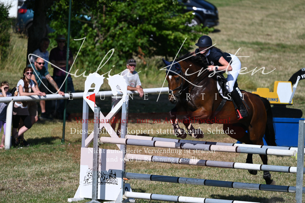 DSC_2104 | Pferde- und Turnierfotografie in Westsachsen. Pferdeportraits, Auftragszeichnungen und intuitive Kunst.