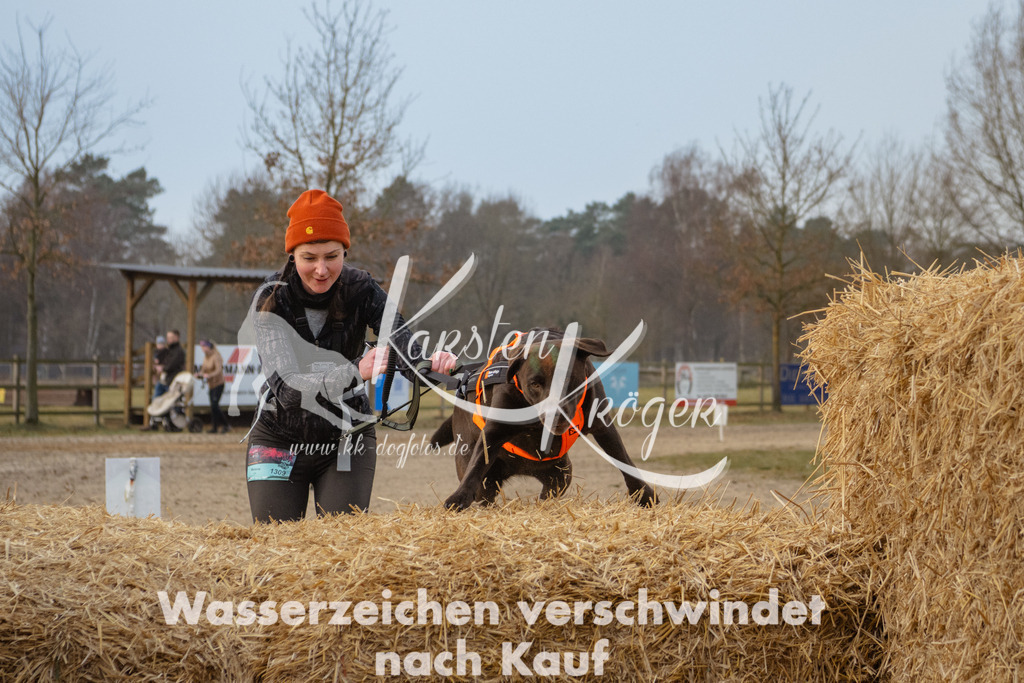 0911_ZZ97050 | kk-dogfotos