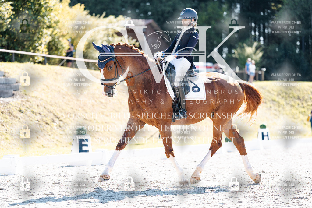 CK905505 | Turnierfotografie Pferdefotografie Trier Rheinland-Pfalz Pferdesport Reitsport Tierfotografie Sportfotografie Pferdevideo Pferdevideografie Equestrianvideography equestrianphotography  - Realisiert mit Pictrs.com