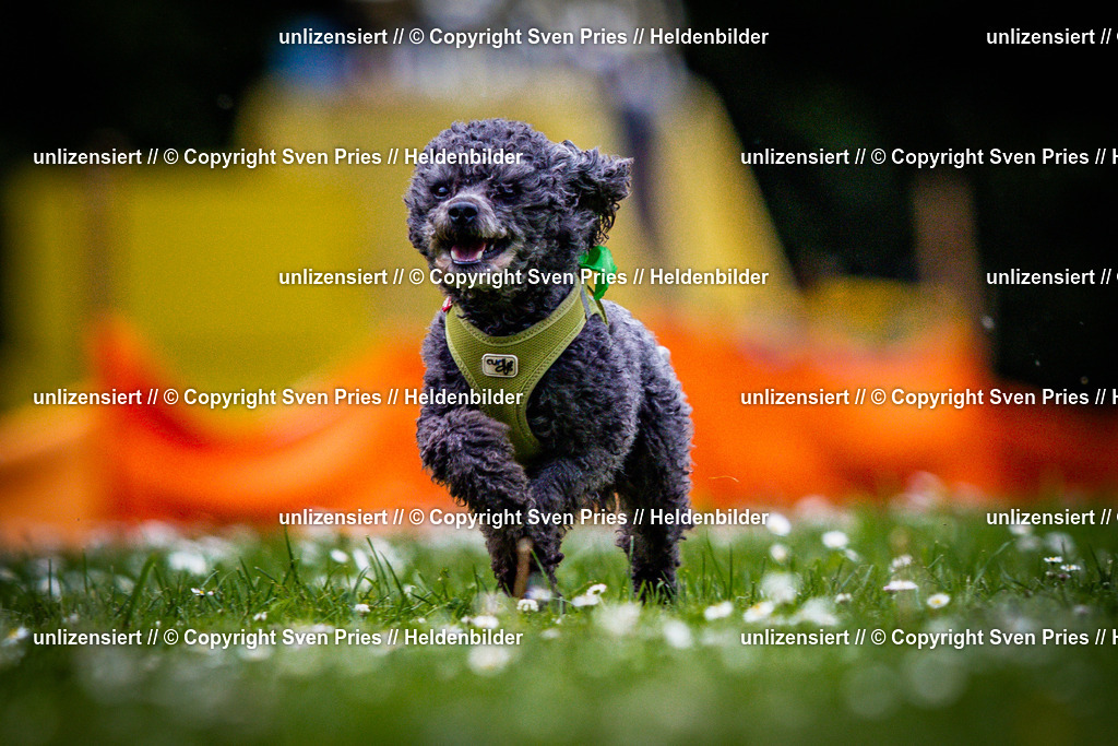 Sven Pries | 2025-05-29 - Pudelrennen KA-Durlach - Realisiert mit Pictrs.com