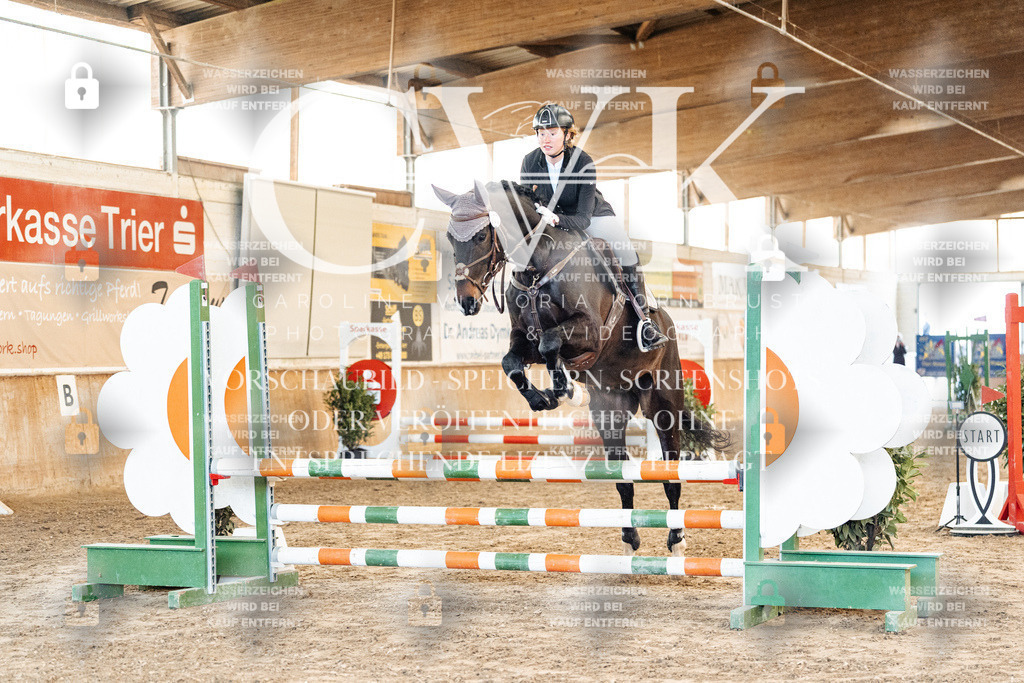 CK903898 | Turnierfotografie Pferdefotografie Trier Rheinland-Pfalz Pferdesport Reitsport Tierfotografie Sportfotografie Pferdevideo Pferdevideografie Equestrianvideography equestrianphotography  - Realized with Pictrs.com