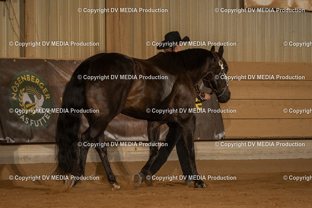 NID02391 | dv-media-shop - Realisiert mit Pictrs.com