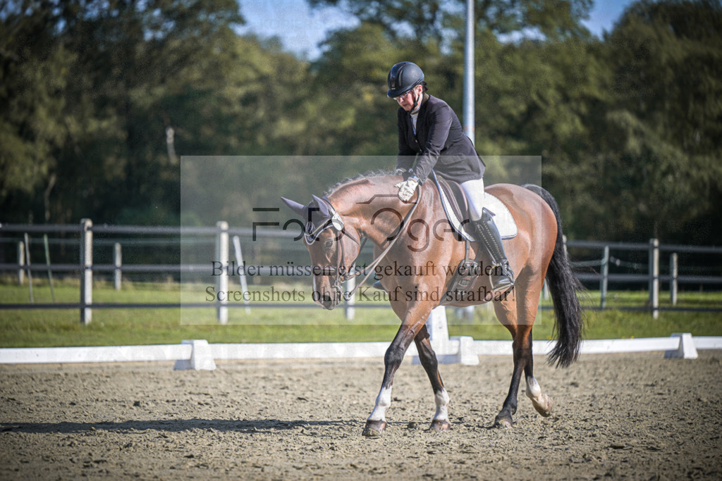 DOS_1185 | Entdecke hochwertige Reitturnierfotos von Foto Oger. Professionell, emotional und authentisch – jetzt Lieblingsmomente im Shop bestellen.Deutschlandweite Turnierfotografie. - Realisiert mit Pictrs.com