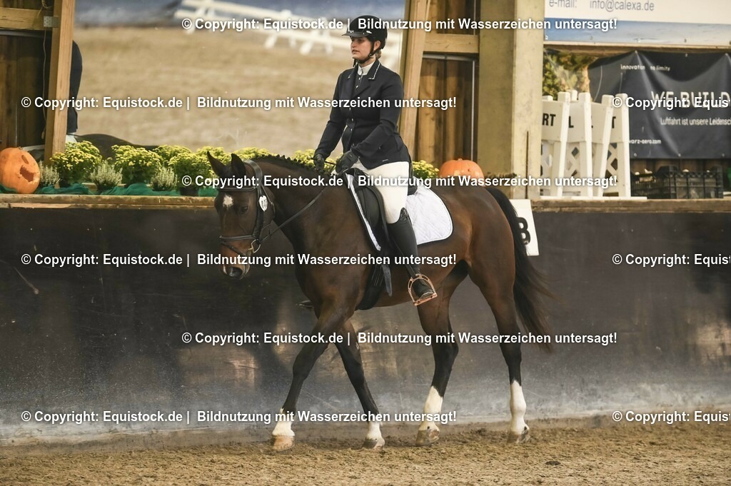 03_Reiter-WB_0014 | Foto: Thomas Hartig