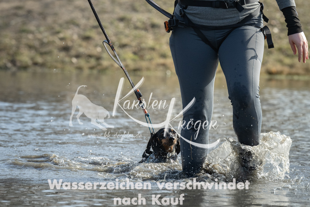 1258_ZZ93326 | kk-dogfotos