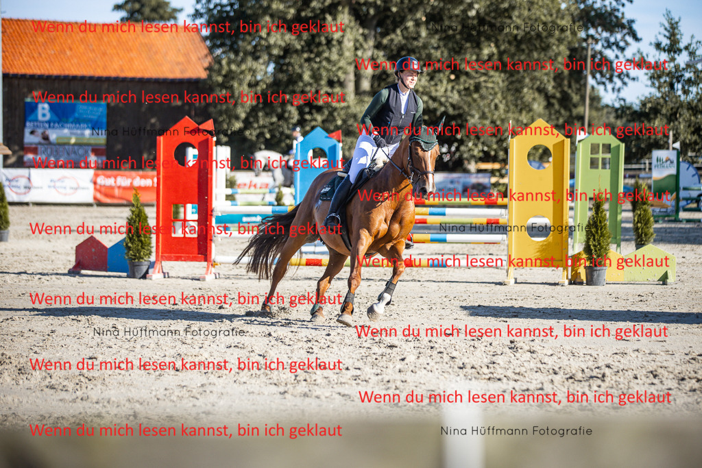 BK1A7625 | Turnierbilder Turnierfotos Nina Hüffmann Turnierfotografie Pferdefotografie Tierzeichnung Haustierzeichnung Pferdezeichnung Hundezeichnung Videograf  - Realisiert mit Pictrs.com