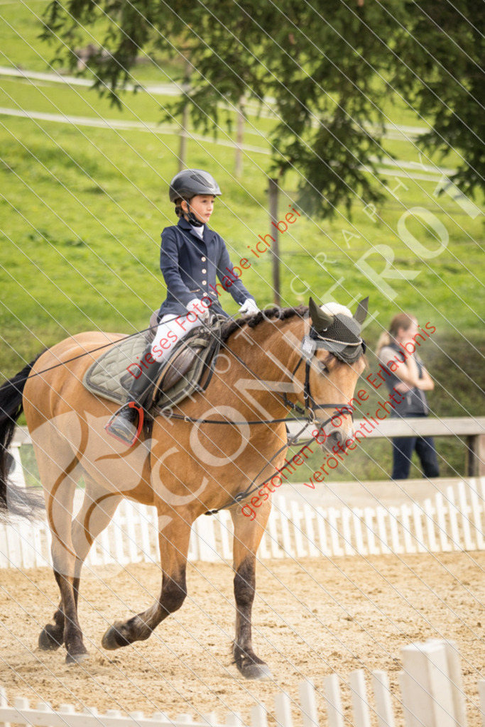 CON_0302 | Sport-, Event- und Tierfotos in Profiqualität. Einfach auswählen, bestellen und herunterladen. Dein Moment – perfekt festgehalten.