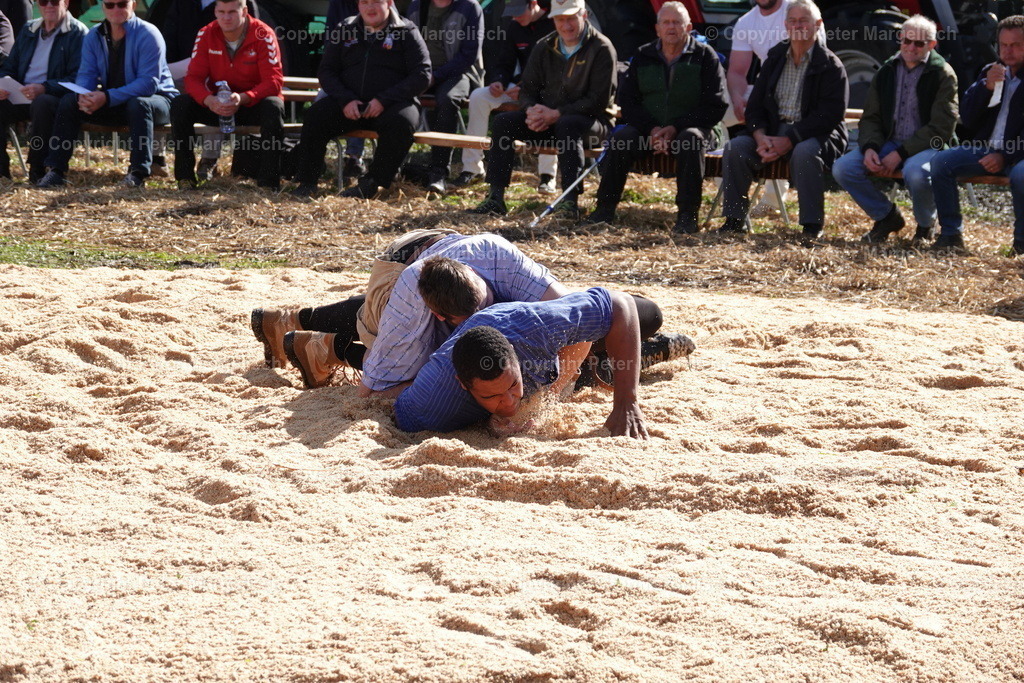 DSC00021 | Schwingen - Realisiert mit Pictrs.com