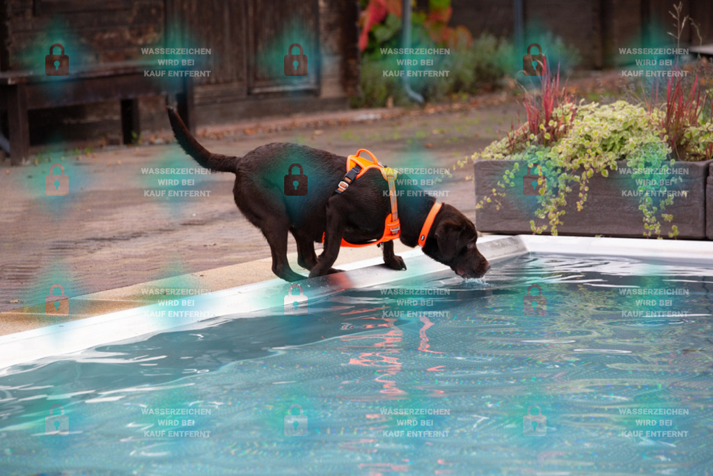 _HP_7573_1000o | HetPix, HetPix Fotodesign, Fotografie, Fotodesign, Webshop, Sportfotografie, Portraitfotografie, Onlineshop, Sportfotografie, Polch, Motorsportfotografie, Eventfotografie