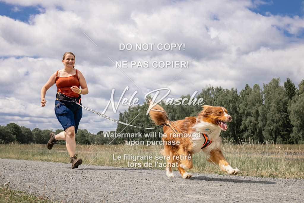 nelerasche_BuHu2026_SaCC1100-1200_205 | nelerasche