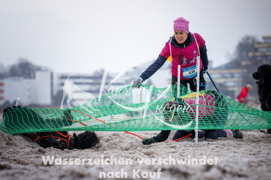 1218_ZZ93275 | kk-dogfotos