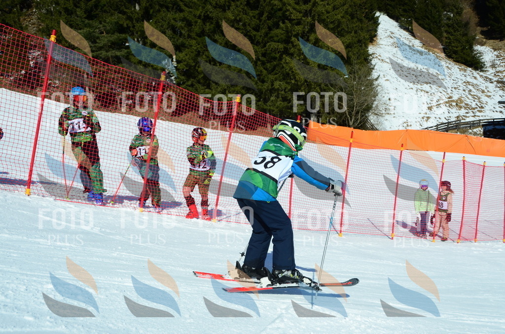 C5326 | holidayphoto