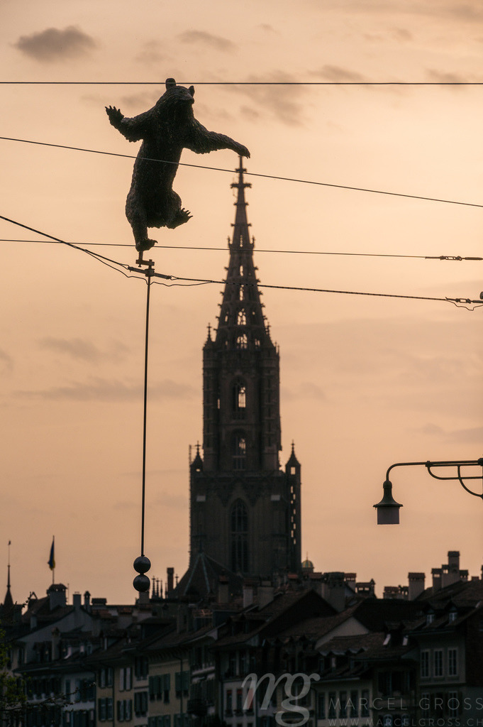 bear statute over the silhouette of Berner Münster near Bärengraben | Die ideale Geschenkidee für Naturliebhaber. Naturbilder von Marcel Gross Photography für ihr Zuhause in den verschiedensten Formaten und Materialien. - Realisiert mit Pictrs.com