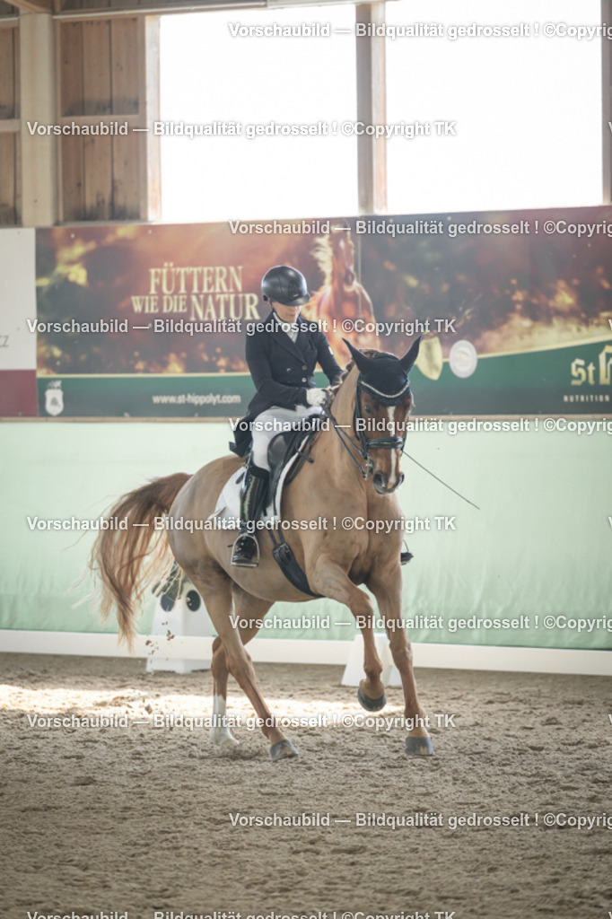 _D5A1365 | Emotionale Pferde- & People-Fotografie rund um Heidelberg, Leimen & Umgebung. Natürliche Fotos von Pferd, Mensch & Familie. Jetzt Termin sichern!