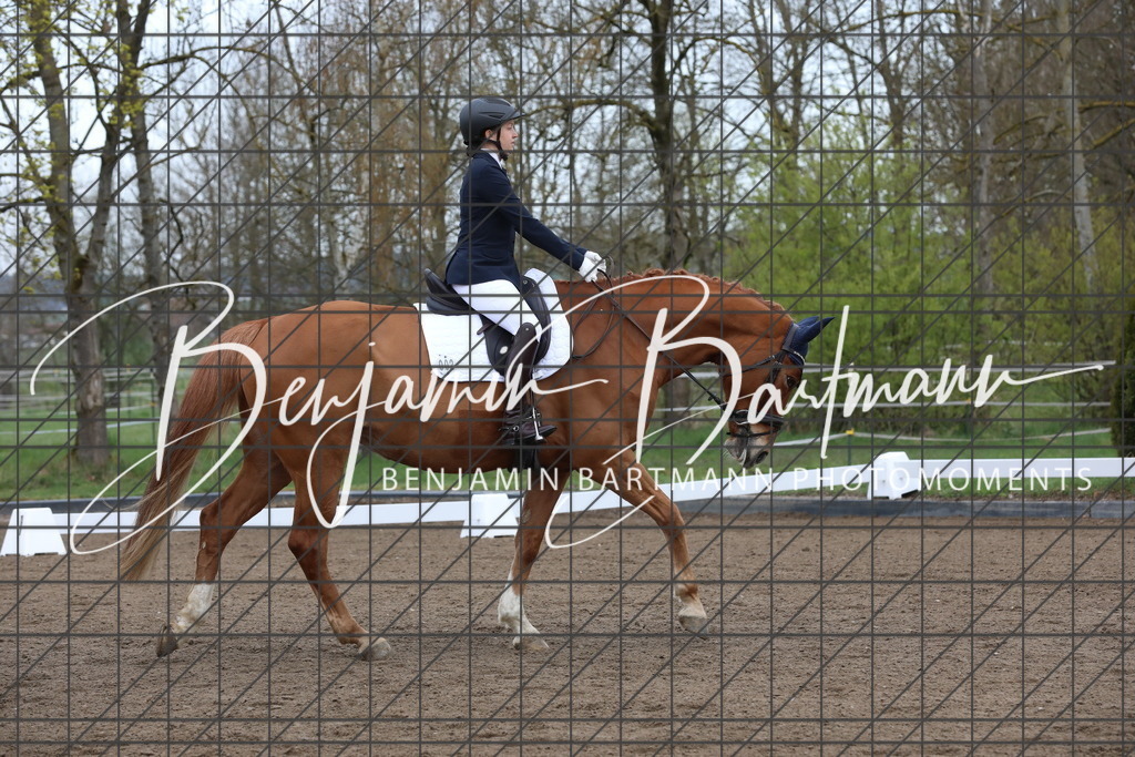 AZ2A4082 | Benjamin Bartmann Photomoments