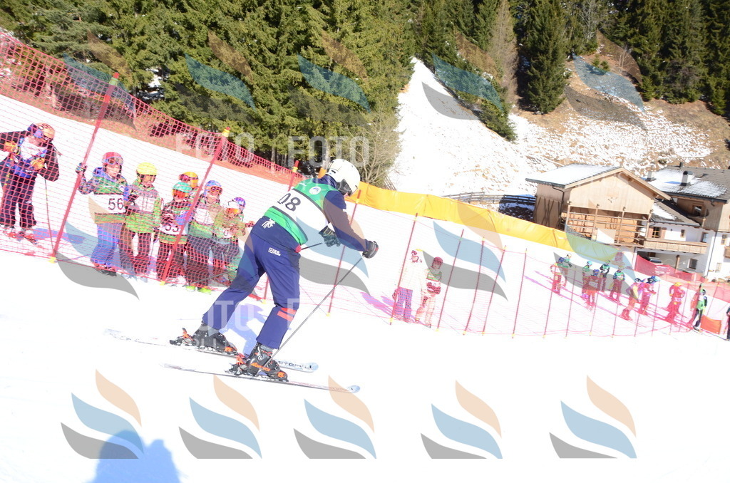 C4564 | holidayphoto