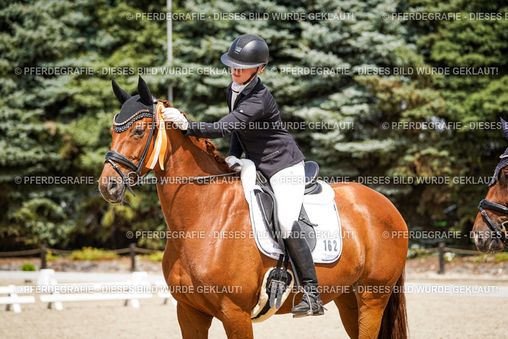 DSC01744 | Pferdegrafie