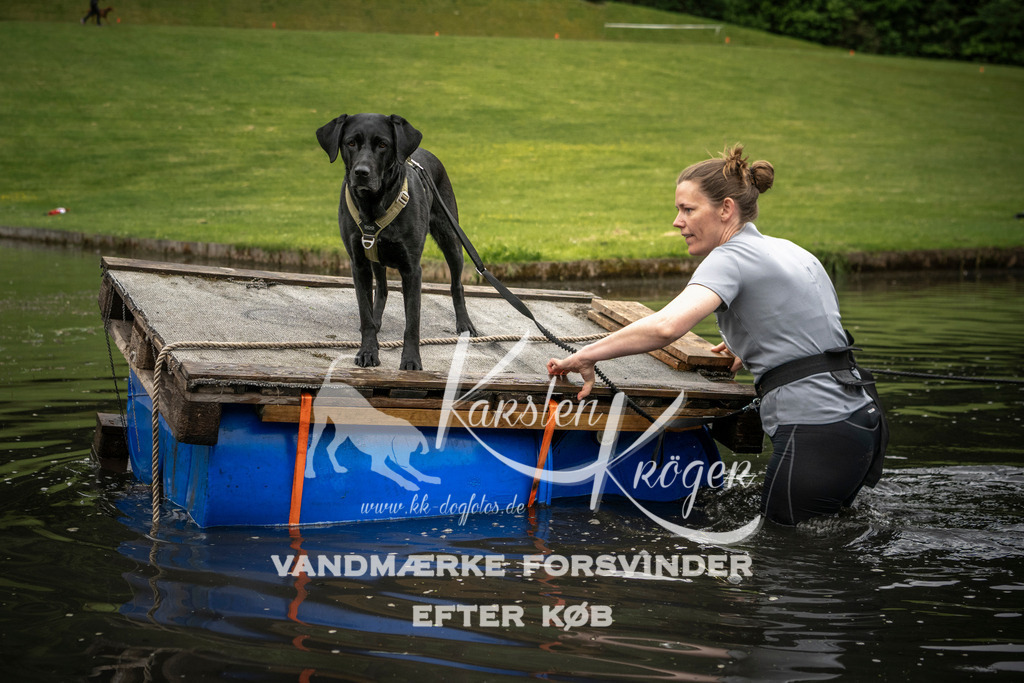 1001_ZZ93597 | kk-dogfotos