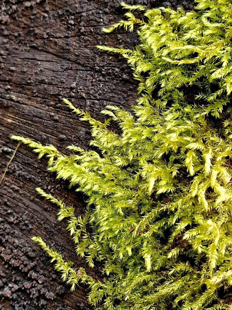 20220416_215651 | aileen-glaeser - Realisiert mit Pictrs.com