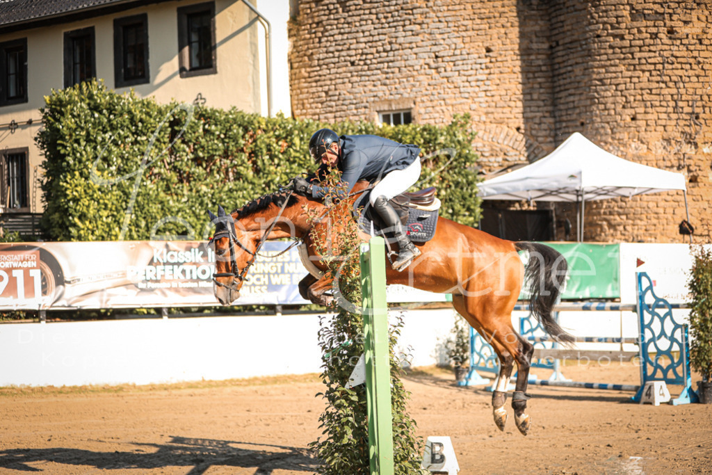 17.SoSpM200128 | Leoni Ertmer Photography - Realisiert mit Pictrs.com