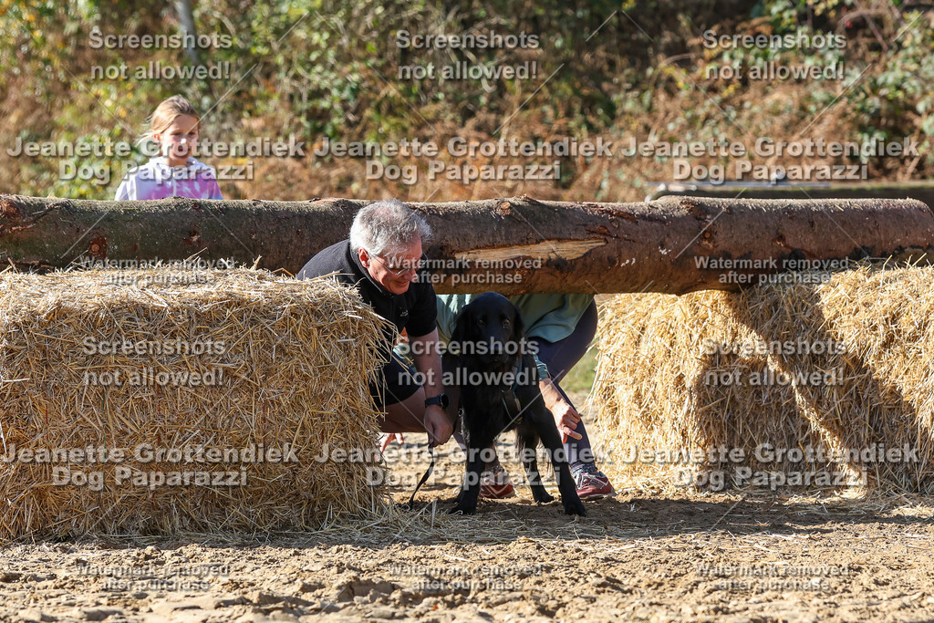 Dog Paparazzi - Strongdog 10-25-4762 | Dog Paparazzi Jeanette Grottendiek Fotografie & Videografie - Realisiert mit Pictrs.com