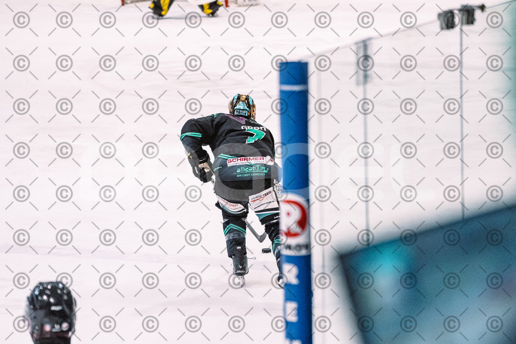 Alligators_vs_Bayreuth_16_01_2026-30 | Höchstadt Alligators Fotogalerie: Eishockey-Action aus Franken. Professionelle Spielfotos, Portraits & Stadionbilder zum Download. Jetzt entdecken! - Realisiert mit Pictrs.com