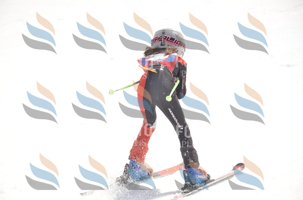 _ELE9264 | holidayphoto