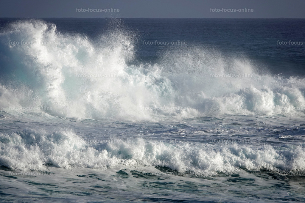 Wild Waves | Wild Waves Atlantic