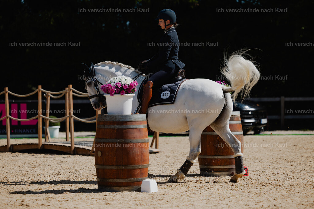 Steffi23_FHC2025-46 | working equitationturnier fotograf videograf stoibphotography marixx film working equitation deutschland reitsport turnierfotografie eventfotografie equestrian events