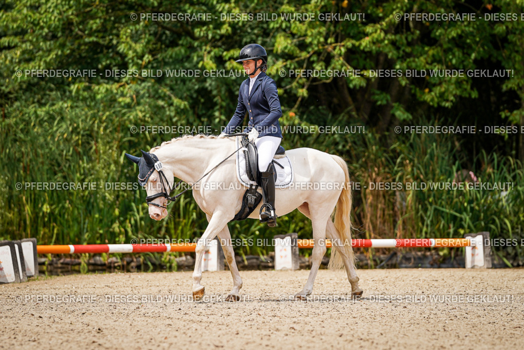 DSC04480 | Pferdegrafie